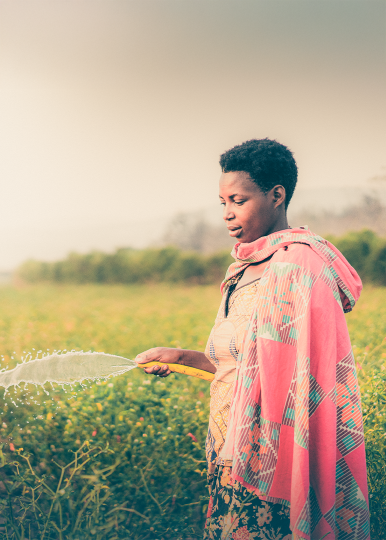 Sustainable Agriculture