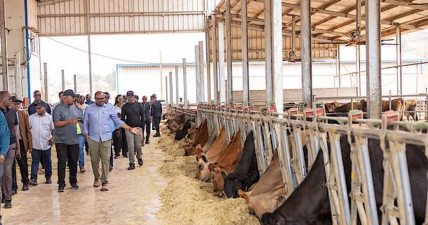 Kinvest Showcases Innovation, Sustainable Agriculture, and Impact During Prime Minister’s Visit to Gabiro Agri-Business Hub 